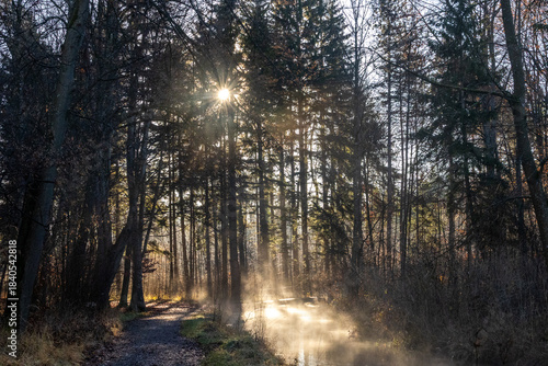 Mist rising from forest creek illuminated by morning sunlight Germany, Augsburg, 10 December 2025