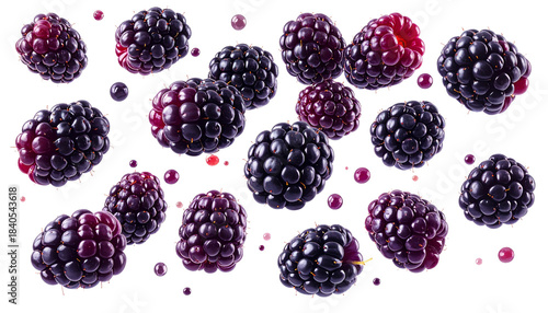 Floating Wild Blackberry Fruits PNG Transparent Background