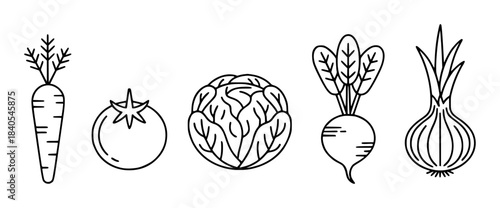 Black and white line of carrot tomato cabbage radish and onion vegetables