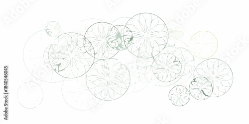 Abstract arrangement of overlapping citrus slice outlines in muted green tones