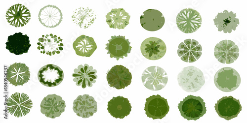 An assortment of green tree canopy views from directly above