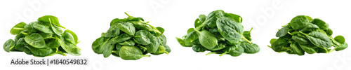 Fresh spinach leaves for cooking, salad, nutrition and healthy food isolated on transparent background