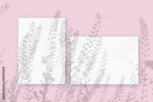 Wallpaper Mural Natural lighting casts shadows from wildflowers on horizontal and vertical sheets of white textured paper against a pink wall background. Mockup Torontodigital.ca
