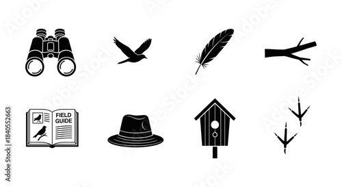 Birdwatching essentials: silhouettes of binoculars, birds, feathers, and more