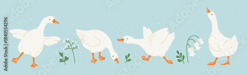 Cute white geese or ducks and wildflowers. Hand drawn farm animals geese with decorative floral elements. Vector illustration for baby shower, Easter, nursery, t-shirt logo, card, poster, invitation