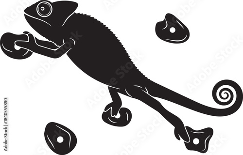 Black silhouette of a chameleon climbing on holds