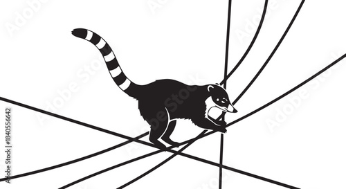 Black and white illustration of a coati animal walking on thin lines