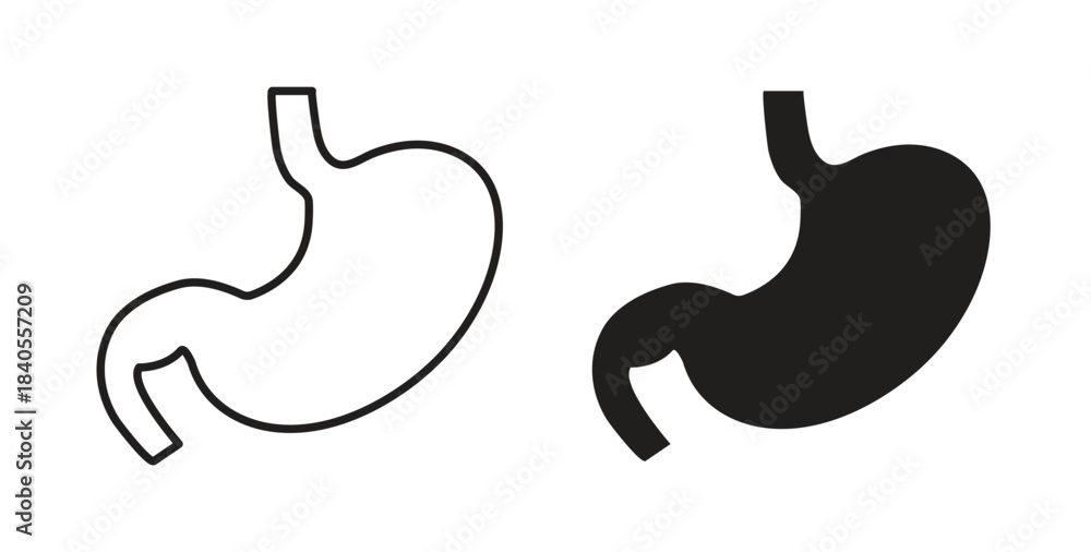 Fototapeta premium Stomach icon with glyph and line. black vector icons for Web UI