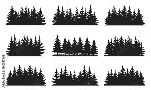 set of forest trees