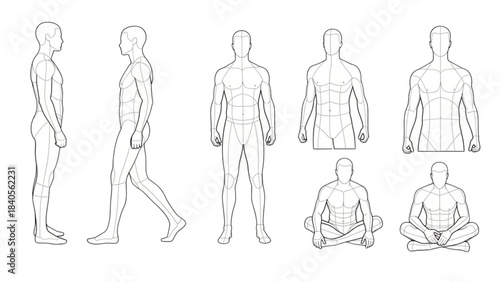 Dynamic human male anatomy auto cad drawing poses for artistic and technical study