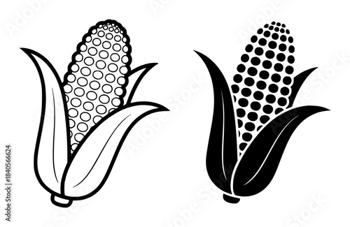 Black and white line of corn cobs with detailed kernels and husks