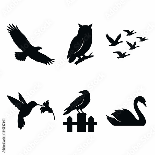 Collection of bird silhouettes and icons