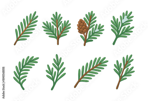 Evergreen branches with pine cone, flat vector illustration with pine needles