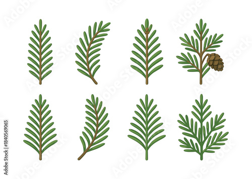 Evergreen branch collection, pine needles and cones, flat vector illustration
