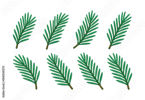 Pine tree branches, flat vector illustration, spruce foliage, evergreen leaves