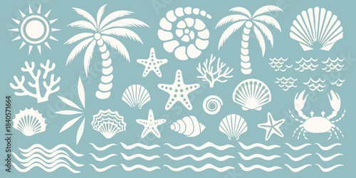 Summer beach elements vector illustration with palms seashells sun and crab