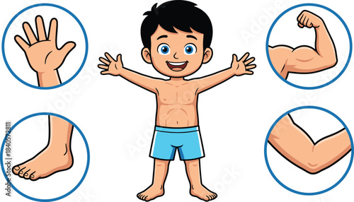 Happy cartoon boy showing different body parts in educational anatomy illustration for learning, teaching, child development, health awareness and preschool study content