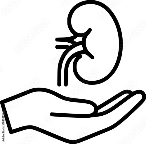 hand hold human kidney healthcare concept sign, symbol, vector, art