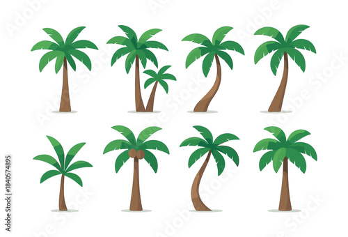 Tropical palm tree set, flat vector illustration, coconut, beach, botanical design