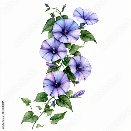 Vibrant morning glories blooming in a lush garden nature photography outdoor serenity close-up perspective beauty of flora