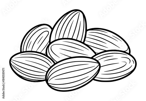 Black and white line of almonds in a group with detailed texture nuts seeds