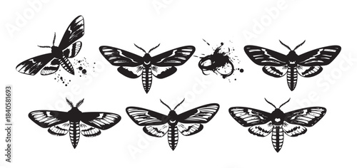 Six stylized hand drawn ink moths with intricate wing patterns and grunge splatters creating a unique artistic insect collection perfect for design projects.