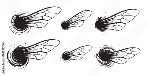 Insect wings with grunge ink splatters create a dynamic and stylized vector illustration set, showcasing artistic movement and energy.