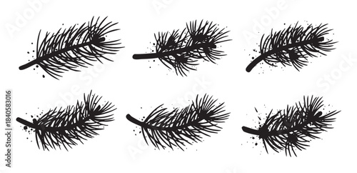 Pine branches silhouette illustration set featuring distressed ink splatters, perfect for winter holiday greeting cards and festive seasonal designs.