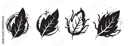 Four artistic black and white leaf illustrations showcasing a hand-drawn, grunge, and natural botanical design with expressive brush strokes and ink splatters.