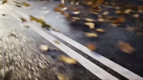 Wallpaper Mural Dynamic Time-Lapse: Seasonal Transition on Wet Asphalt Road with White Lines. Melting Snow Transforms into Falling Autumn Leaves. Concept: Change, Weather, Nature, Travel, Journey. Torontodigital.ca