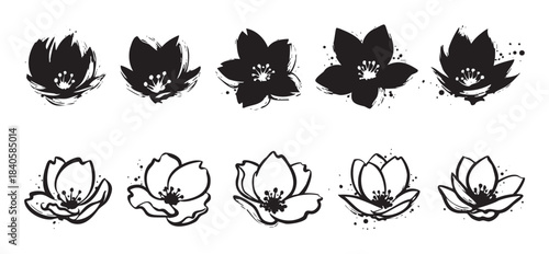 Stylized black and white flower illustrations with artistic brush strokes and delicate outlines creating a versatile graphic design element collection.