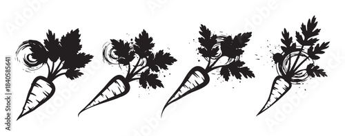 Four stylized black carrots with leafy green tops are depicted in a dynamic, hand-drawn vector art style, featuring expressive brush strokes and splatters.