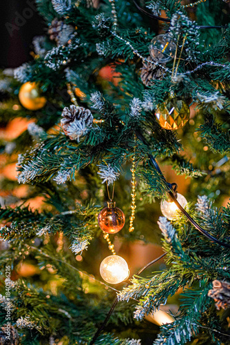 雪化粧の枝と金色オーナメントが輝くクリスマスツリーの接写／Close-up of Christmas tree with snowy branches and golden ornaments