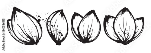 Stylized hand drawn botanical elements featuring an artistic ink sketch and grunge splatter texture, creating a unique and expressive graphic design component.