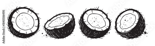 Four hand-drawn coconut halves with a rustic, textured appearance are arranged in a horizontal row, showcasing their inner flesh and fibrous outer shell in a monochrome style.