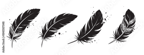Four elegant black feathers with artistic ink splatters showcasing a beautiful collection of stylized bird plumes in a decorative vector illustration.