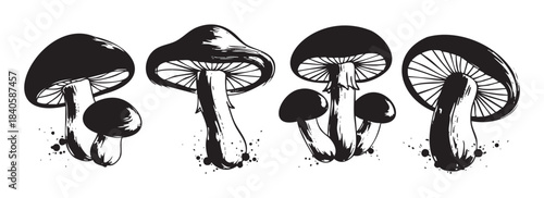 Four distinct hand-drawn mushrooms with detailed caps and stems, illustrated in a striking black and white ink style, perfect for nature-inspired designs.