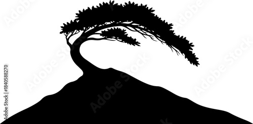 Summer Mountain Landscape Illustration