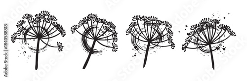 Abstract floral elements featuring stylized dill flowers in a decorative hand-drawn ink splatter style, perfect for rustic designs.