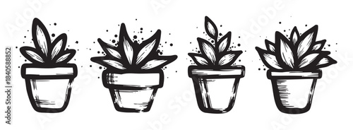 Four potted plants in a hand-drawn brush stroke style, featuring various succulent designs with artistic speckles and textured details.