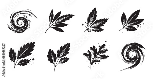 Abstract ink leaves and swirls collection features artistic brushstroke designs, perfect for organic nature-inspired graphics and decorative elements.