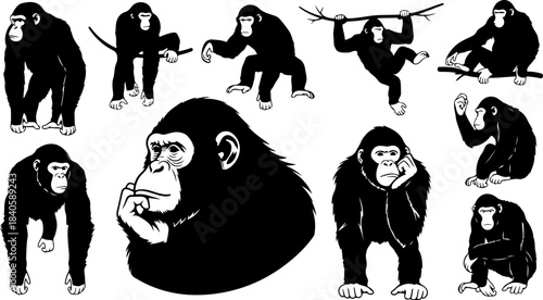 Monkey Silhouette Action Bundle