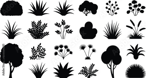 Plant and tree silhouette illustration set, diverse vegetation forms, shrubs, grasses, leafy plants, vector nature graphics for landscape design