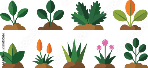 Stylized plant illustration set, diverse leaf and flower designs, cartoon botanical elements, vector garden graphics, nature icons
