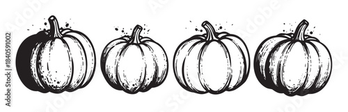 Four hand drawn black white pumpkins arranged in a row, showcasing a rustic and artistic illustration style perfect for autumn and Halloween designs.