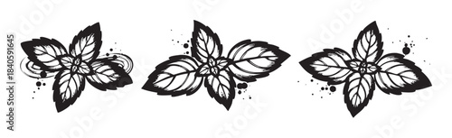Three stylized basil leaves with artistic brush strokes and ink splatters create a vibrant, organic design element for culinary themes.