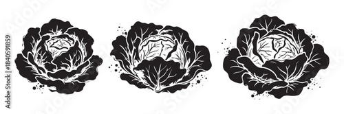 Three stylized black and white cabbage illustrations with a rough, artistic texture, perfect for healthy food, farm, or garden-related designs and branding.