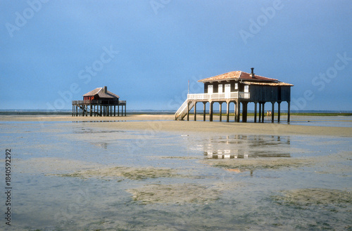 Cabane tchanquée, Ile aux Oiseaux, La Teste de Buch, Bassin d'Arcachon, 33, Gironde, France