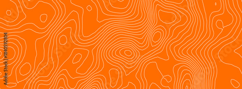 Sushi meat salmon for pattern tuna texture and fish abstract wood. Lines skin peach for steak cosmetic fresh and restaurant background wave. Sushi design strip for pattern food icon and tuna.