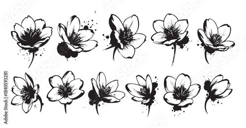 Beautiful hand-drawn flowers collection in a striking black and white ink splatter style, perfect for elegant graphic design projects and artistic decorations.